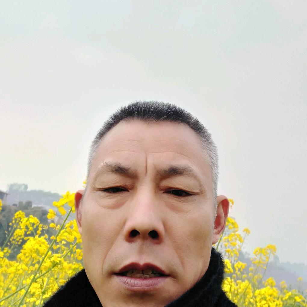 王五哥