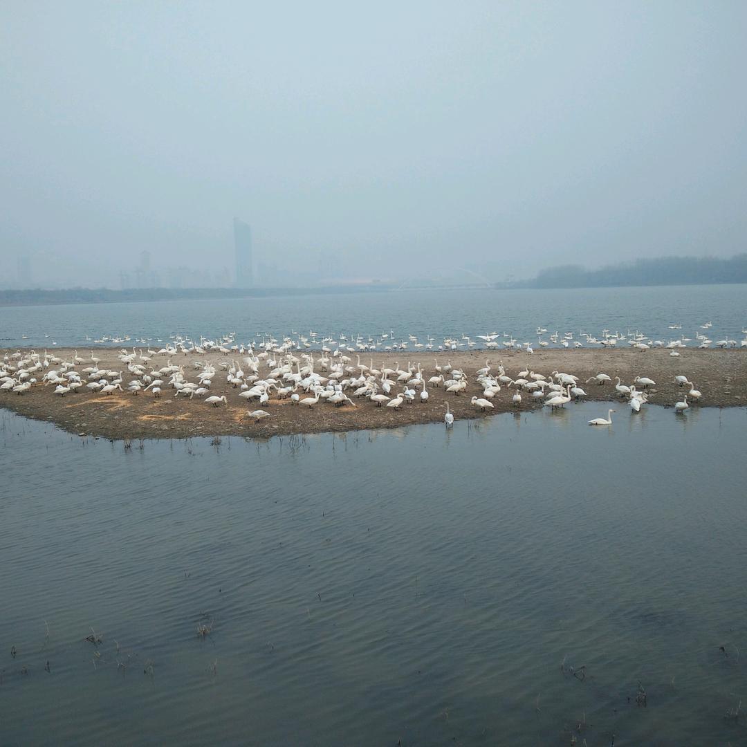富任