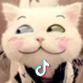 囧小毛