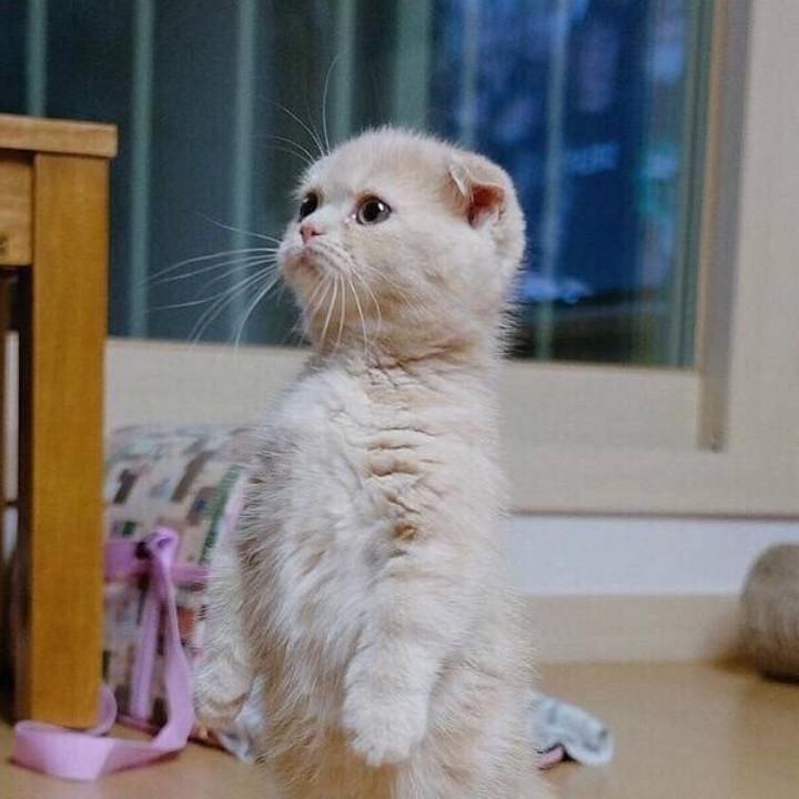你跟我蹦啊！