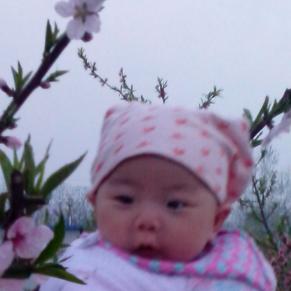 通许县，贾龙  唢呐，