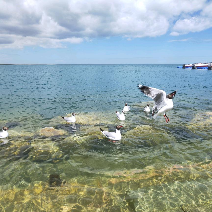 亮哥哥看房日记
