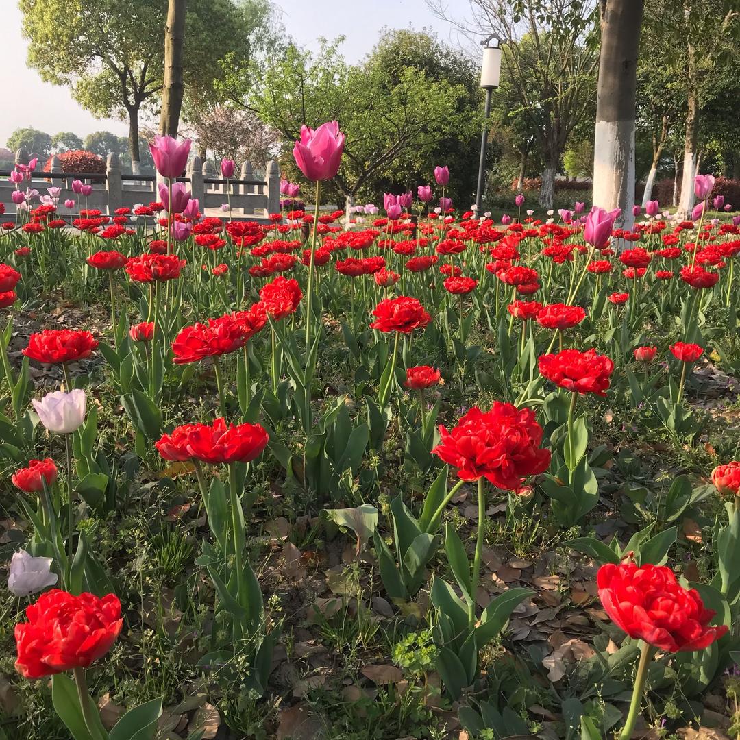 珍惜所拥有的