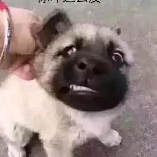 爱赚钱的段叔叔