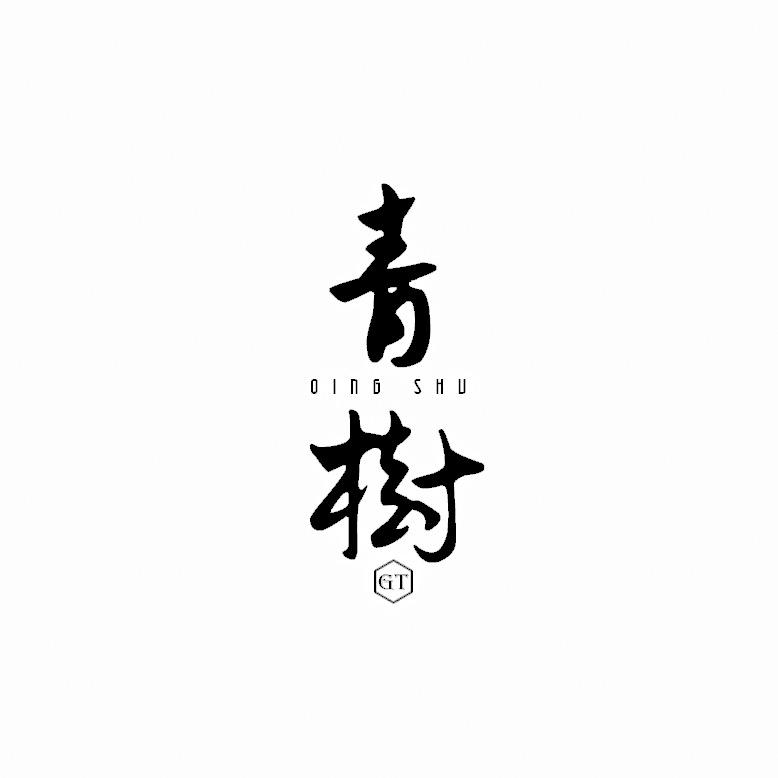青树制片婚礼电影