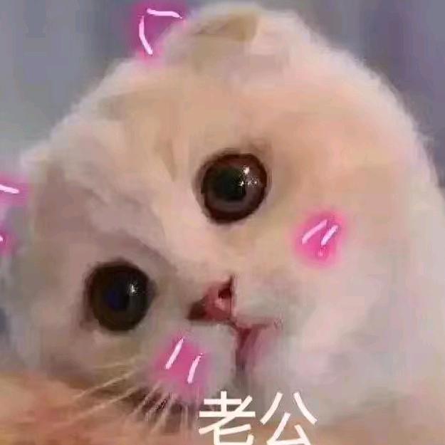 小杨不吃草