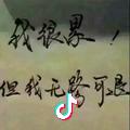 游