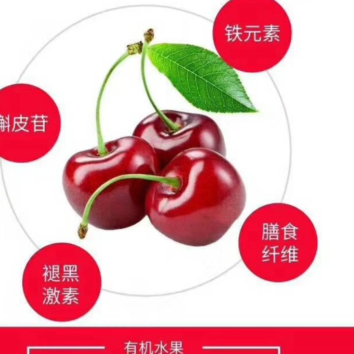 加油加油加油每一天