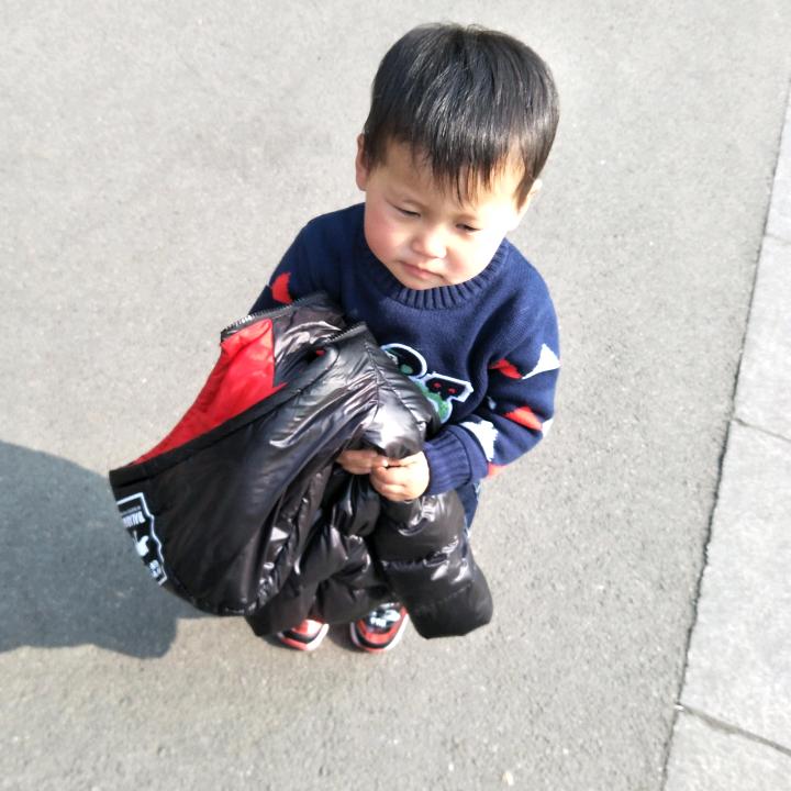 鱼翅（Shark fin）