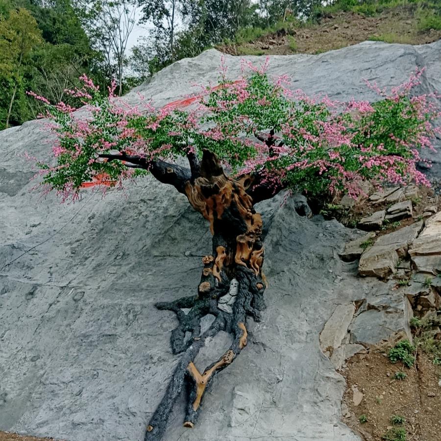 红尘独舞