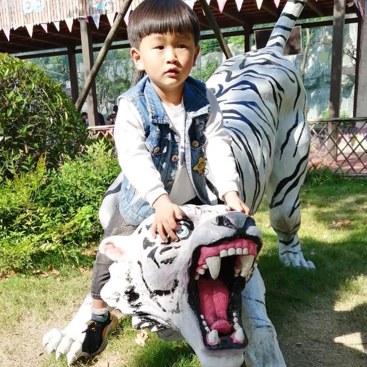 王   总