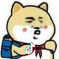 卿枫