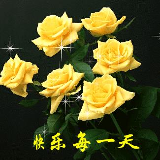 太阳花
