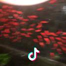 回忆化作音符