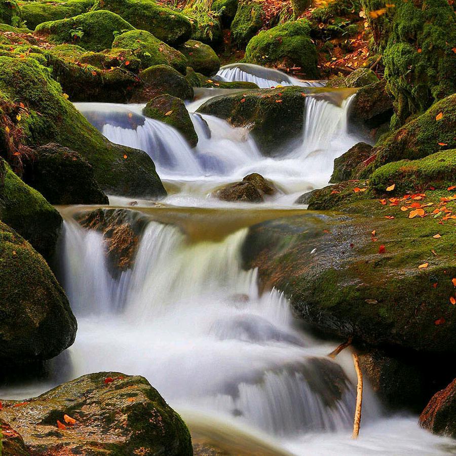 一个在外奔波的人