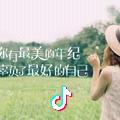 苦叶蝶
