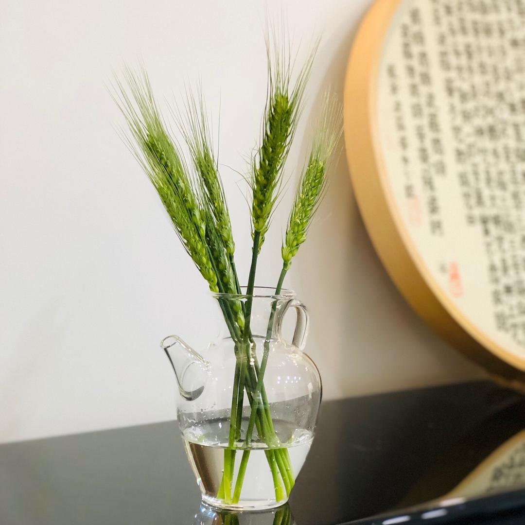 我是西瓜呀