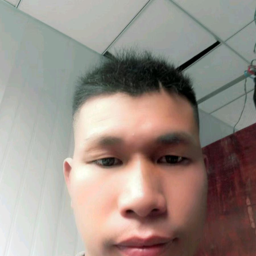 心雁南飞
