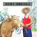 小钢炮