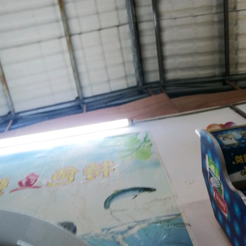 东哥