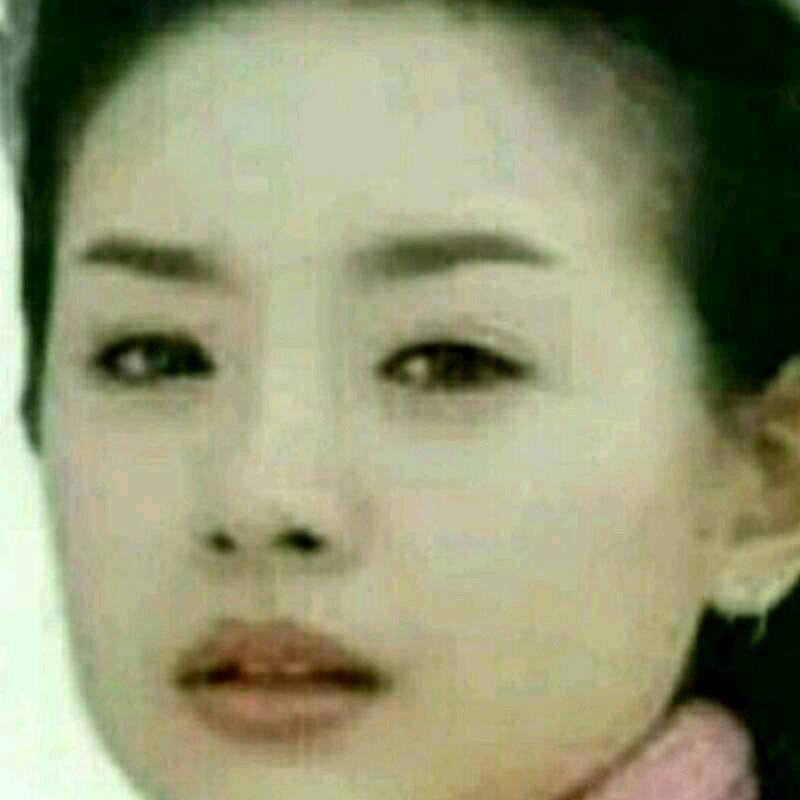 一枝梅