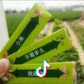 刚好绿箭妳