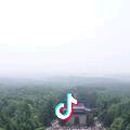 离别殇