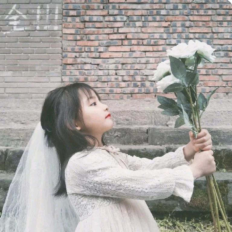 小太阳🌸