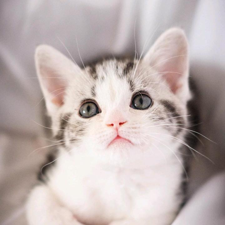 ❤