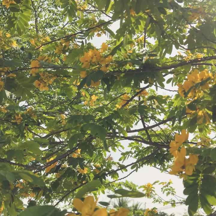 用户5818407587850雨后彩虹
