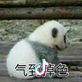 阿楠