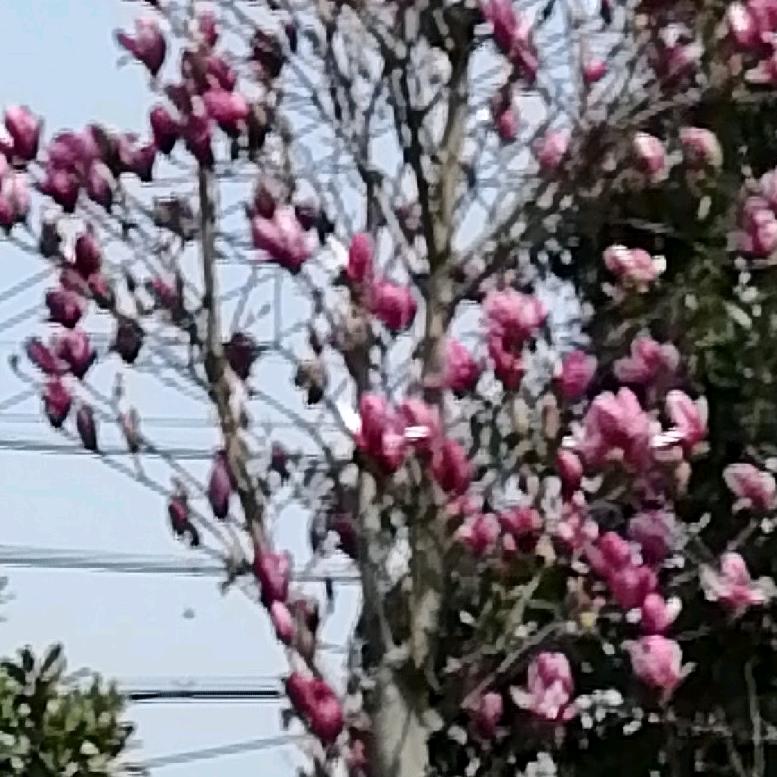 幸福快乐