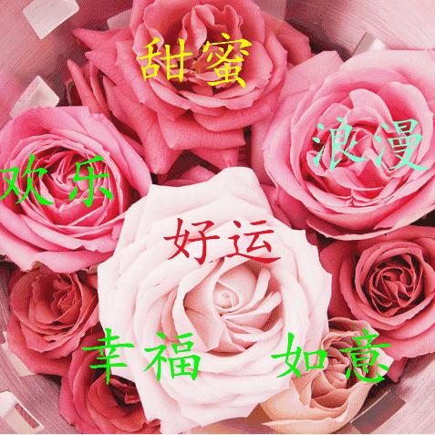 金 多多