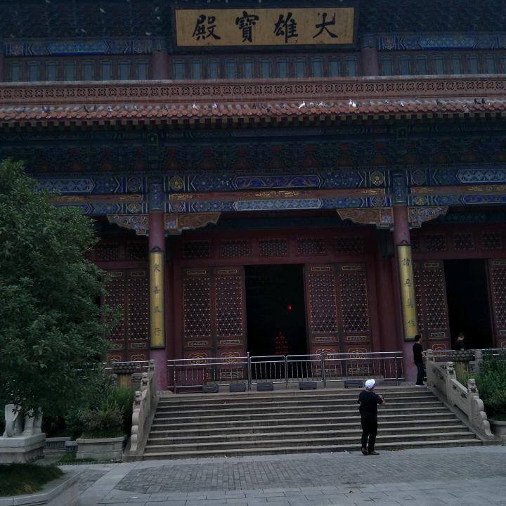 用户1679868700971梦想