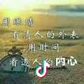 刘哥