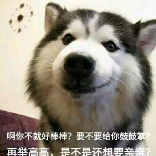发财噜(使命召唤战区➕三角洲)