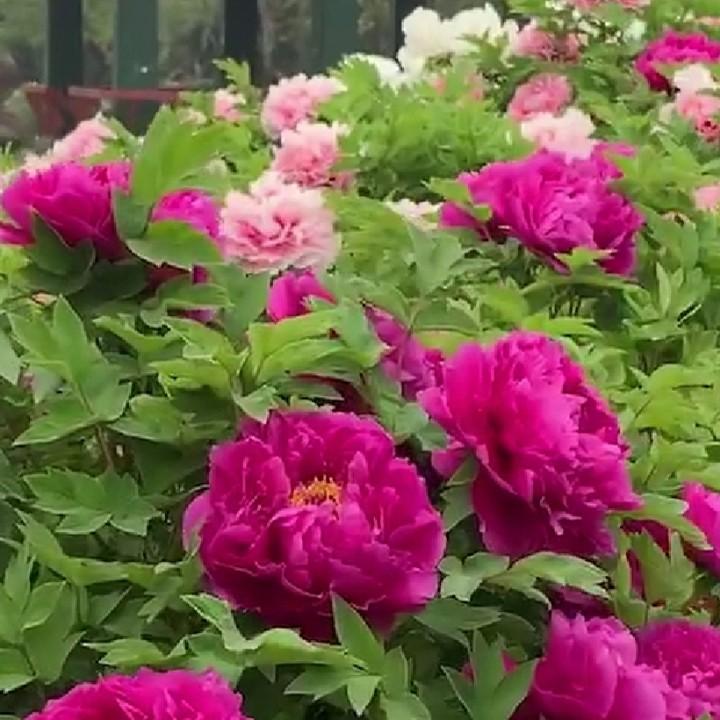 🍔 与你到永久⁷⁷⁸⁷