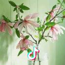 芳