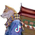 如梦如风