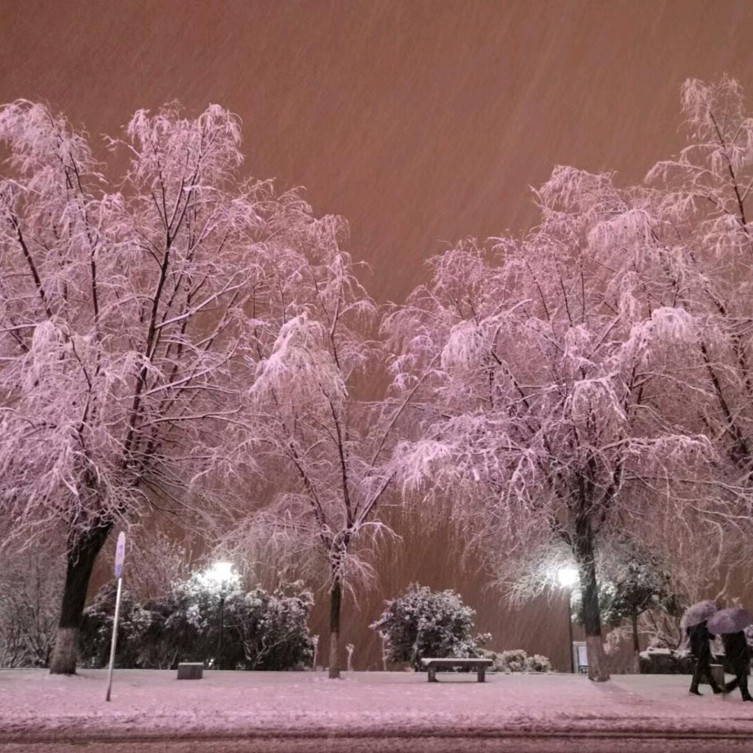 清风明月