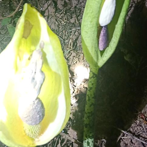 用户389802平安是福