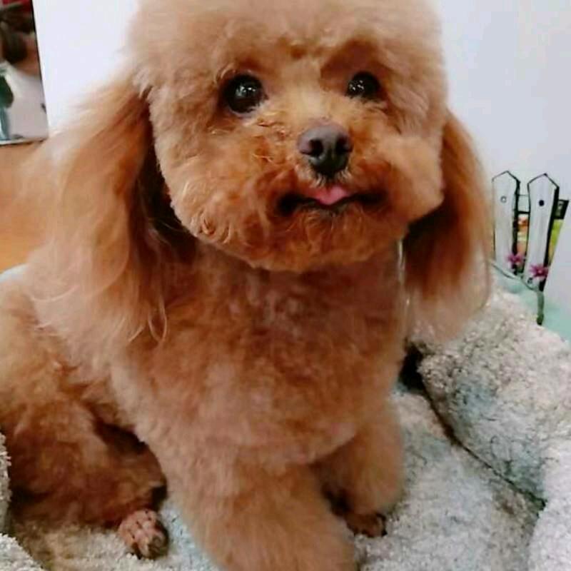 阿华《拒绝私聊》