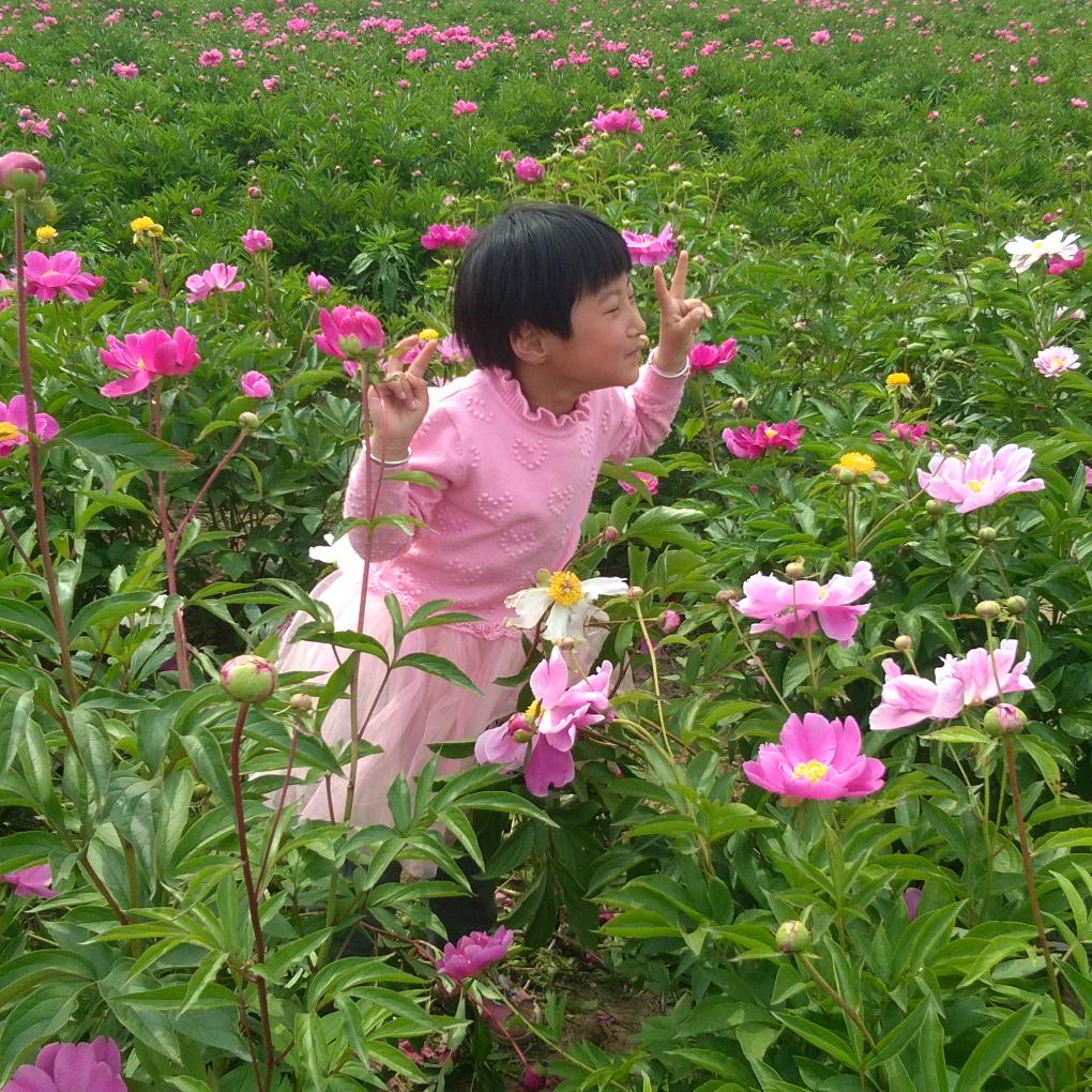 張向前