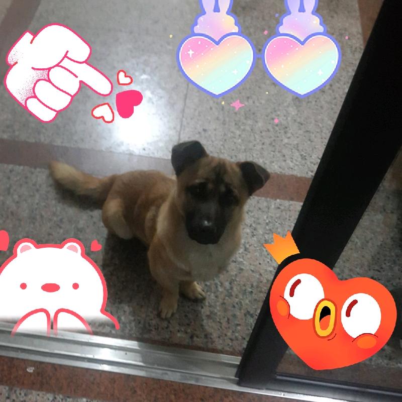 Y😍L宝贝錄錄🥰