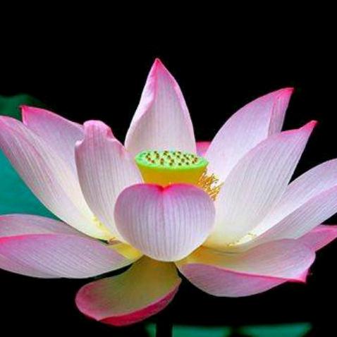 黄某人一生平安