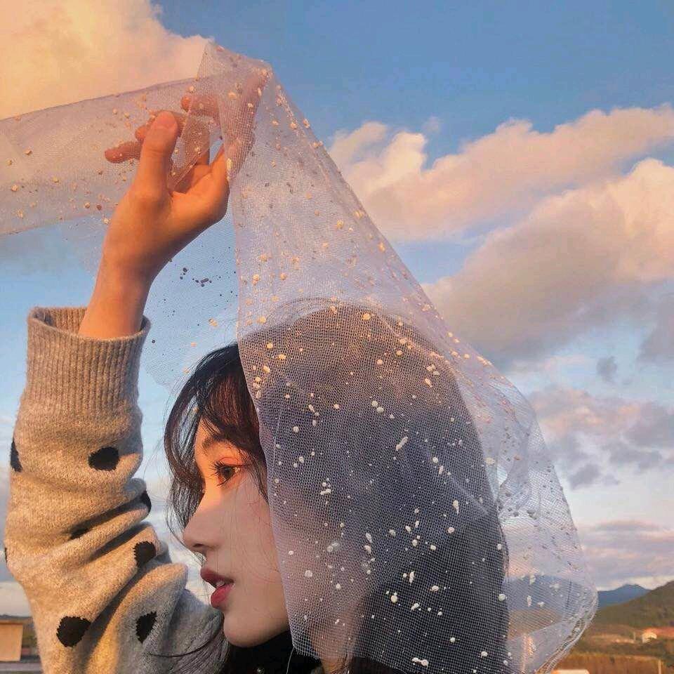 一只鹿💚
