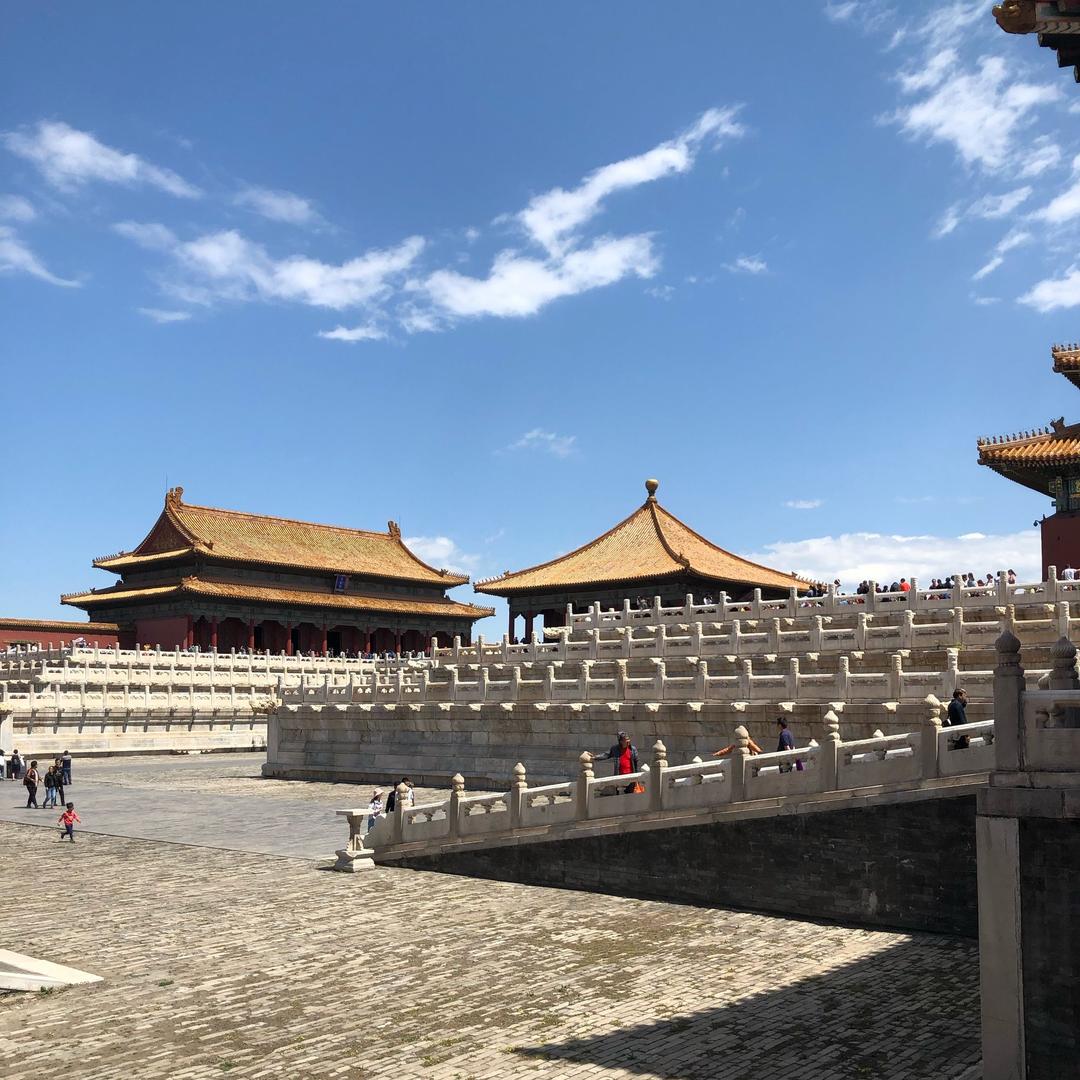 黄豆