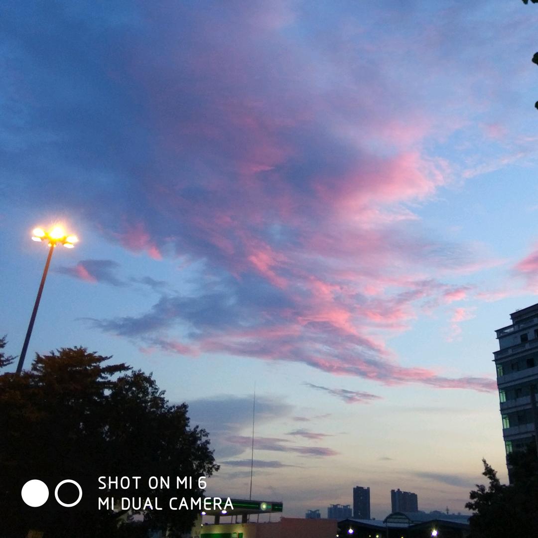 杨旋    ҈҉҈҉҈҉҈҉҈҉҈҉