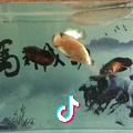 月亮的背后是什么