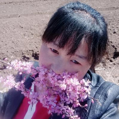 丰宁宝妈